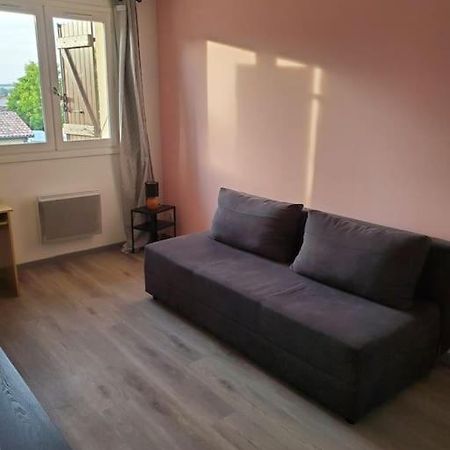 Appartement Moderne Et Equipe LʼIsle-Jourdain Exteriér fotografie