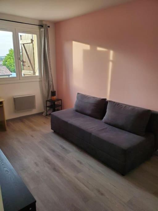 Appartement Moderne Et Equipe LʼIsle-Jourdain Exteriér fotografie